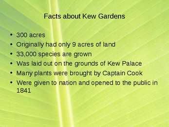 Kew Gardens #5