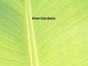 Kew Gardens