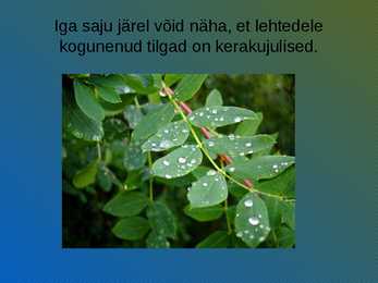 Veetilgad #2