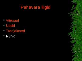 Pahavara #3