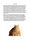 Postmodernism #5