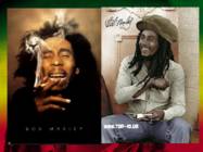 Bob Marley PowerPoint #13