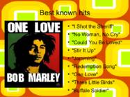 Bob Marley PowerPoint #3
