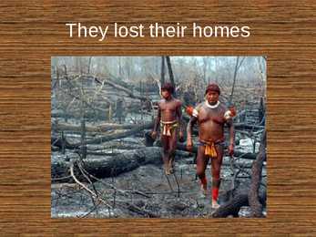 Rainforest destruction #12