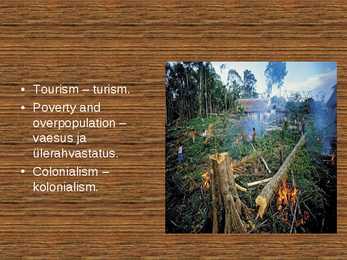 Rainforest destruction #4