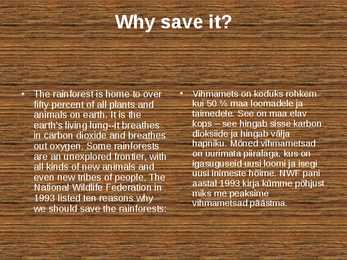 Rainforest destruction #5