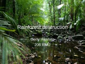 Rainforest destruction