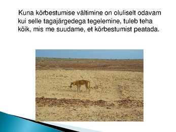 Austraalia kõrbestumine #9
