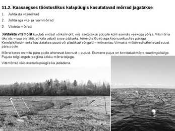 Lõkspüünised #11