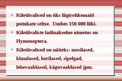 Kiletiivalised #2