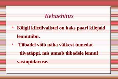 Kiletiivalised #4