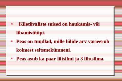 Kiletiivalised #5