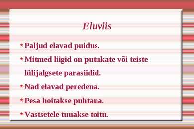 Kiletiivalised #9