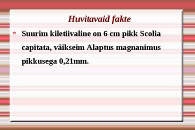 Kiletiivalised #10