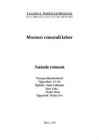 Auto remondi labor