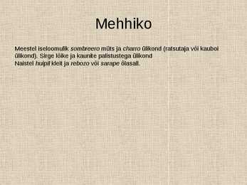 Etno stiil #16