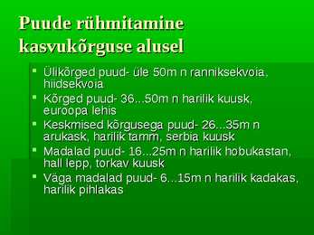 Puittaimed #12