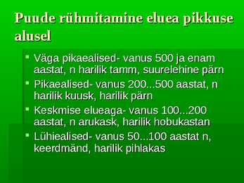 Puittaimed #13