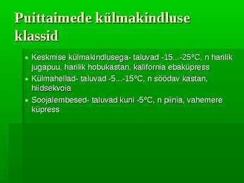 Puittaimed #17