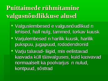 Puittaimed #18