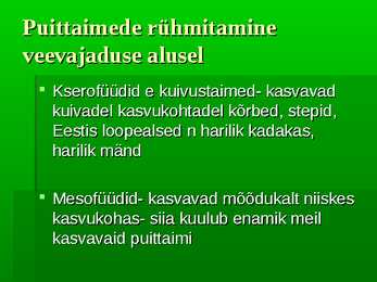 Puittaimed #19