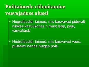 Puittaimed #20