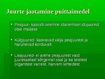 Puittaimed #22