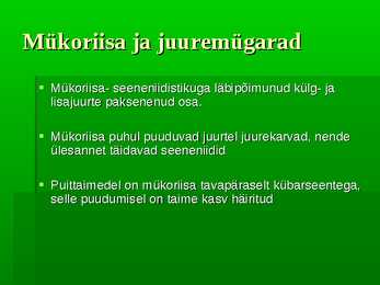 Puittaimed #24