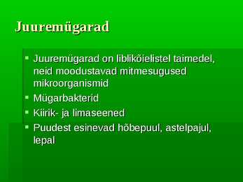 Puittaimed #25