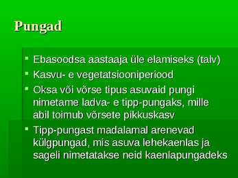 Puittaimed #33
