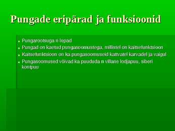 Puittaimed #35