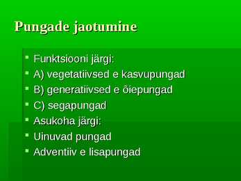 Puittaimed #36