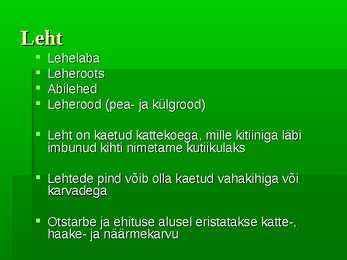 Puittaimed #37