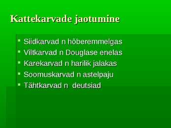 Puittaimed #38