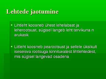 Puittaimed #40