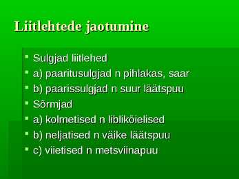 Puittaimed #41