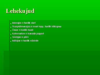 Puittaimed #43