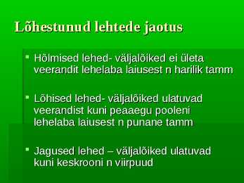Puittaimed #45