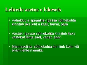 Puittaimed #46