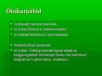 Puittaimed #48