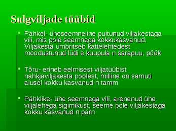 Puittaimed #52