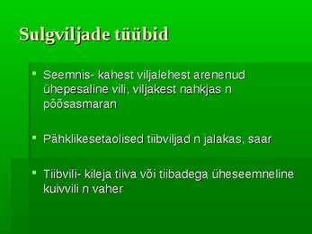Puittaimed #53