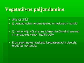 Puittaimed #56