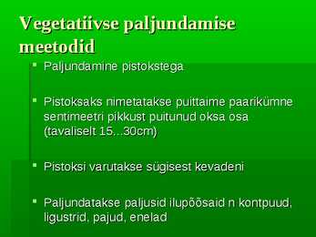 Puittaimed #57