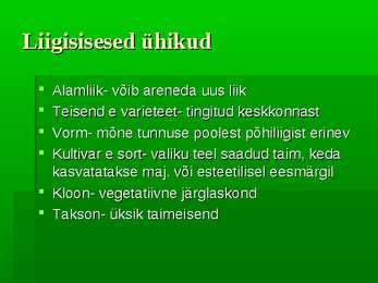 Puittaimed #7