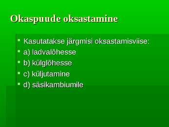 Puittaimed #62