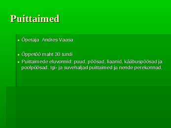 Puittaimed