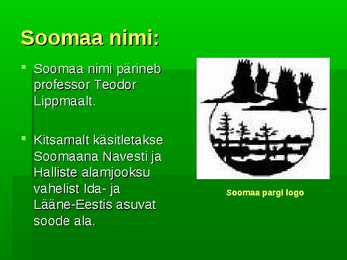 Soomaa rahvuspark #3