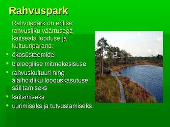 Soomaa rahvuspark #4