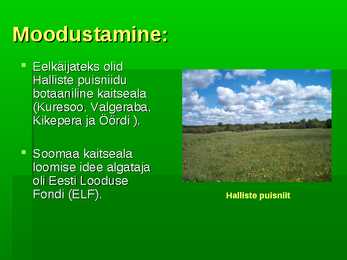 Soomaa rahvuspark #5